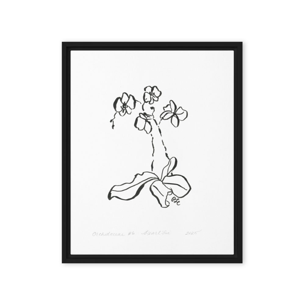 Orchidaceae #6 - Reprinted on Framed Canvas