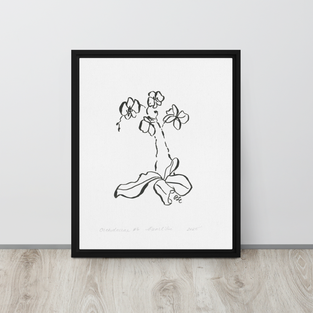 Orchidaceae #6 - Reprinted on Framed Canvas