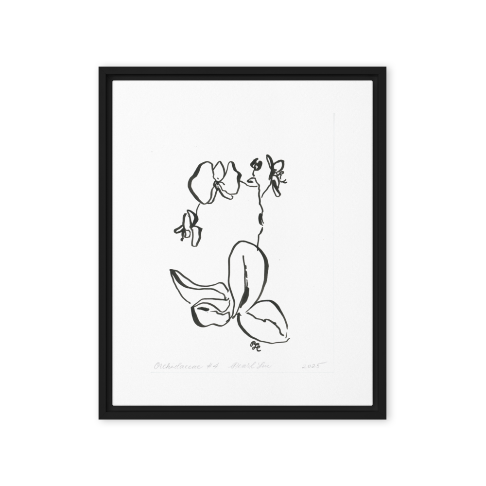 Orchidaceae #4 - Reprinted on Framed Canvas