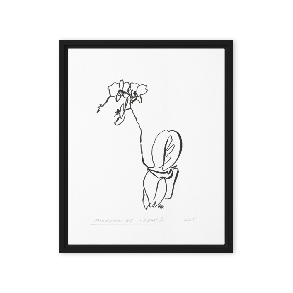 Orchidaceae #2 - Reprinted on Framed Canvas