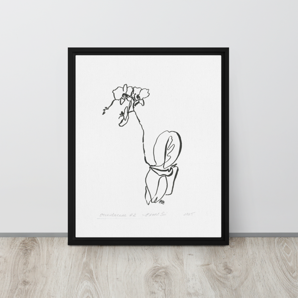 Orchidaceae #2 - Reprinted on Framed Canvas