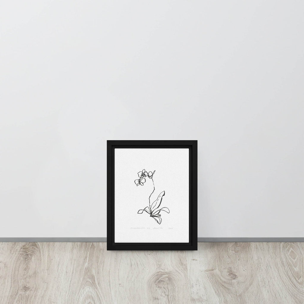 Orchidaceae #3 - Framed Canvas - Dear Daughters Design