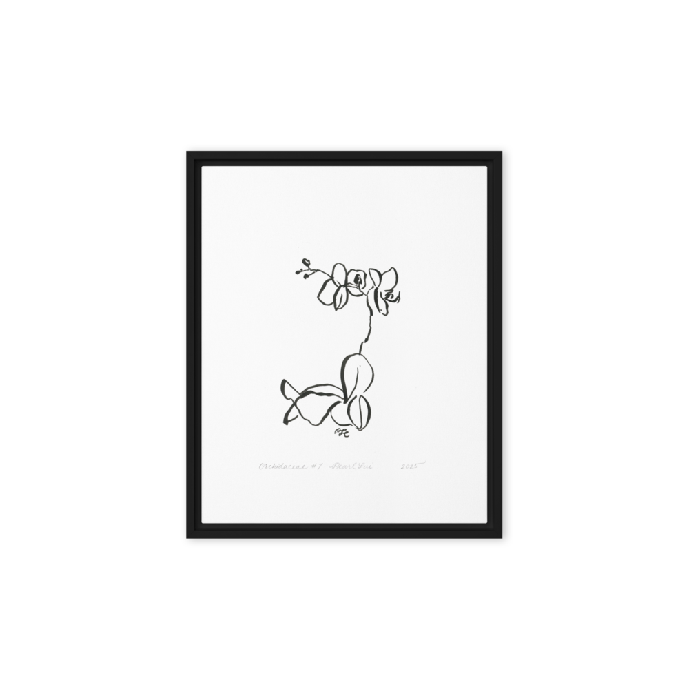 Orchidaceae #7 - Reprinted Framed Canvas
