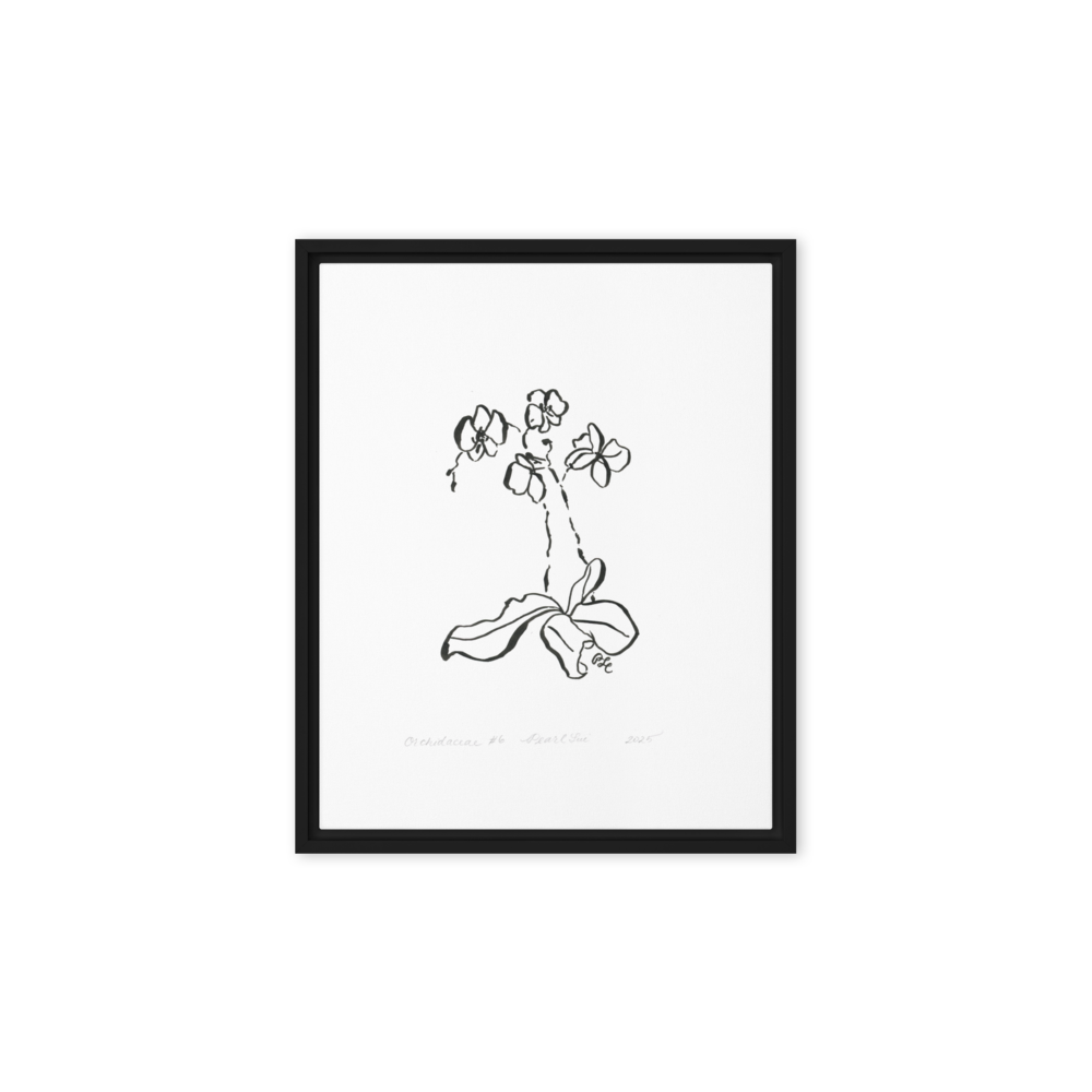 Orchidaceae #6 - Reprinted on Framed Canvas
