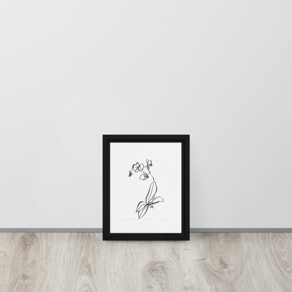Orchidaceae #1 - Reprinted on Framed canvas