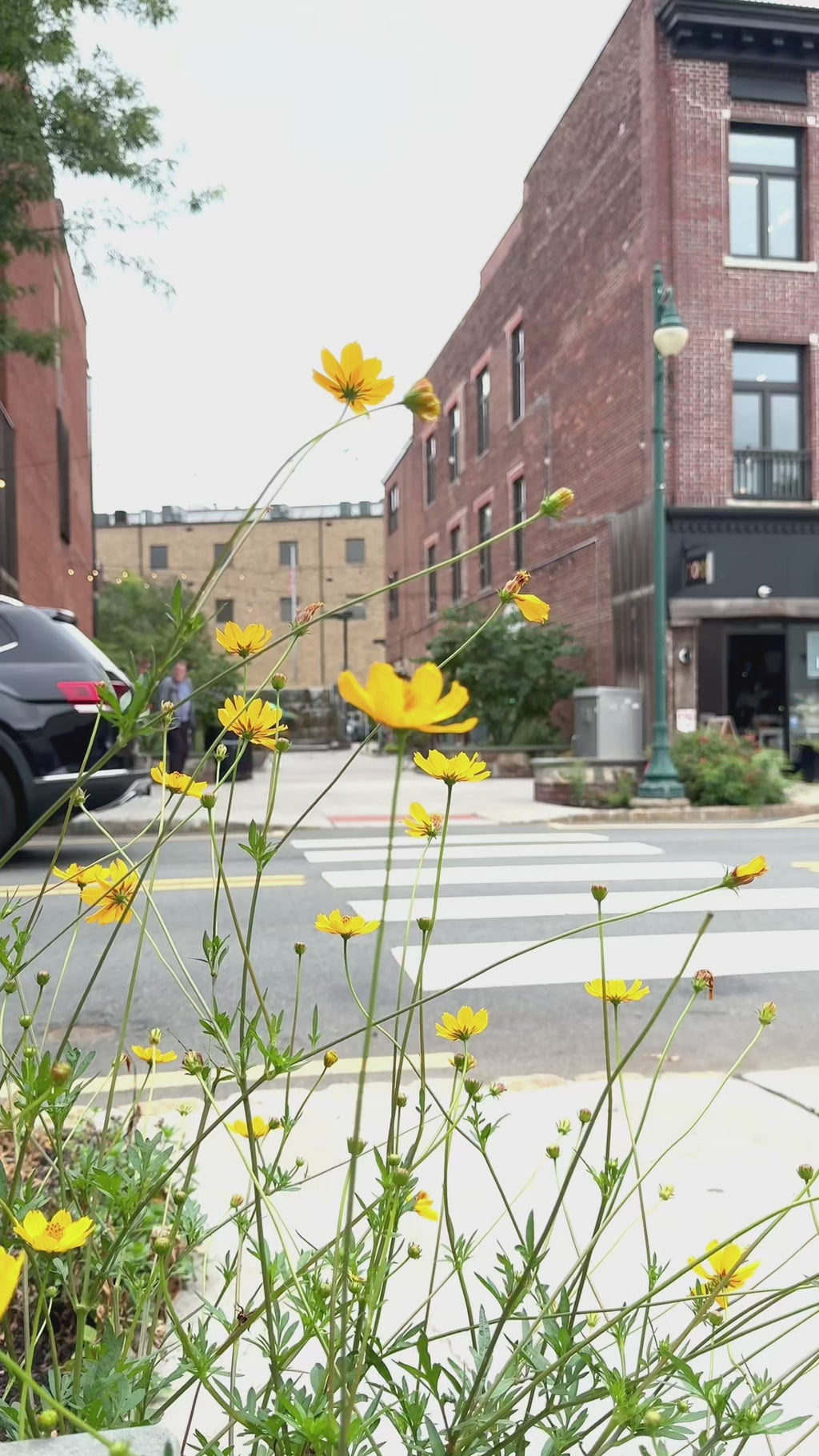 Private Party Workshop Reservation for Judi